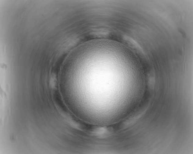 X0000091100083200708131114