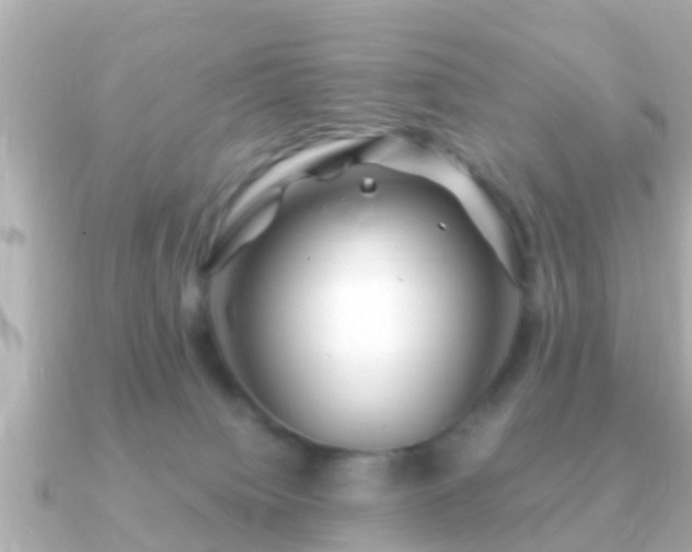 X0000091100084200708131114