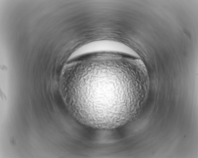 X0000091100085200708131114