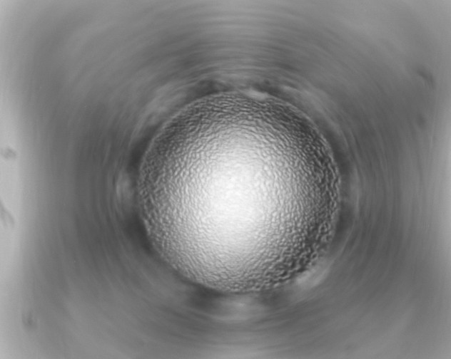 X0000091100086200708131114