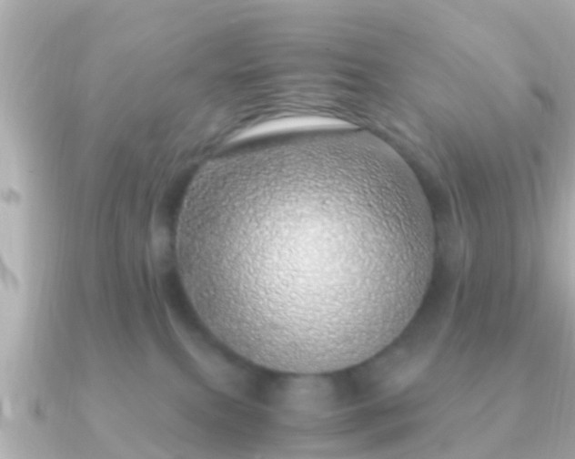 X0000091100087200708131114