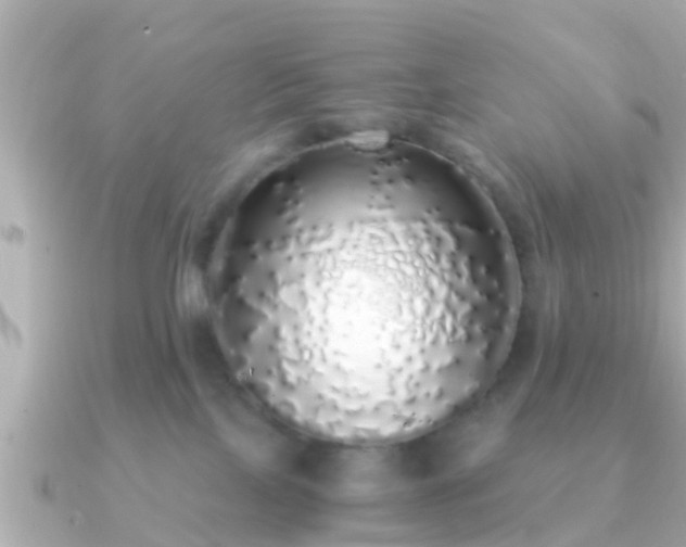 X0000091100089200708131114