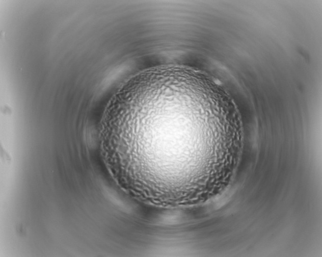 X0000091100090200708131114