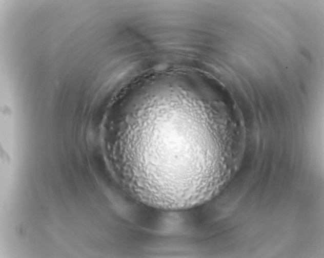 X0000091100091200708131114