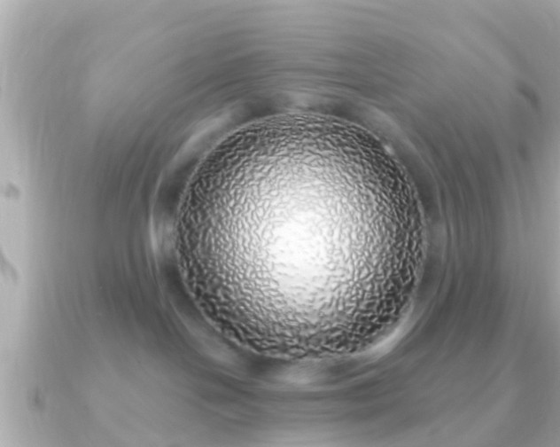 X0000091100094200708131114