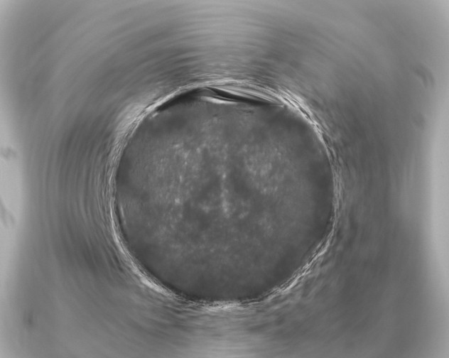 X0000091100097200708131113