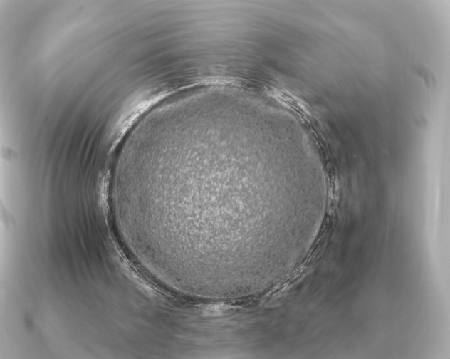 X0000091100098200708131113