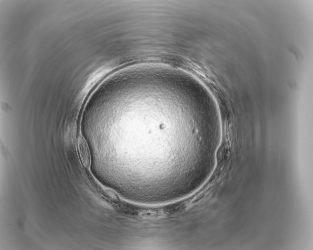 X0000091100099200708131113