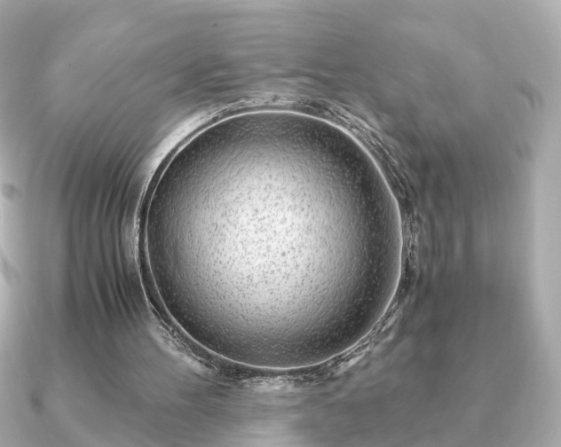 X0000091100100200708131113