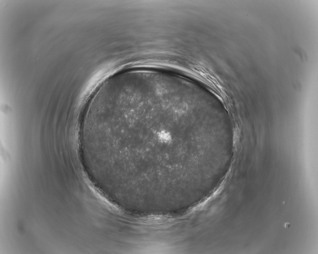 X0000091100101200708131113