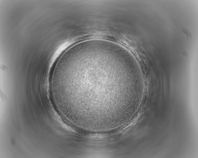 X0000091100102200708131113