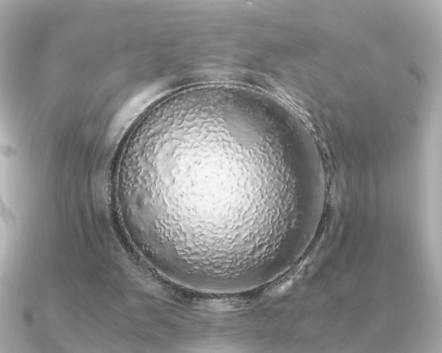 X0000091100103200708131113