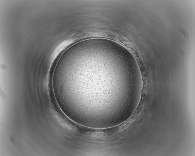 X0000091100104200708131113