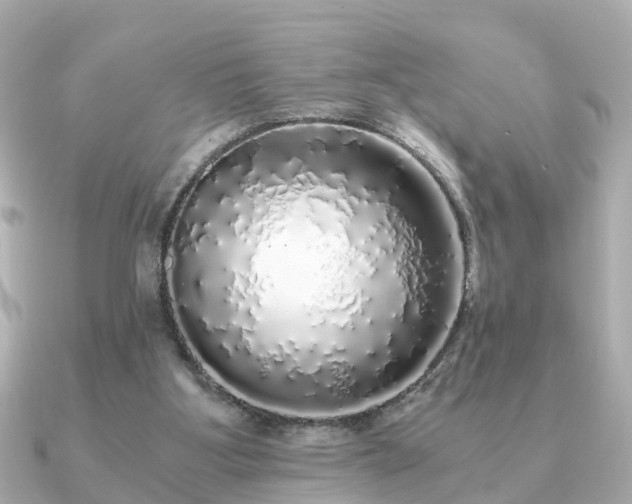 X0000091100107200708131113