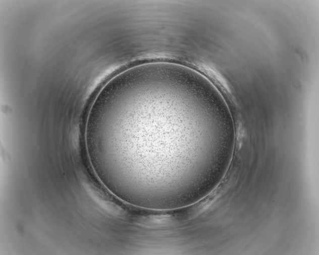 X0000091100108200708131113