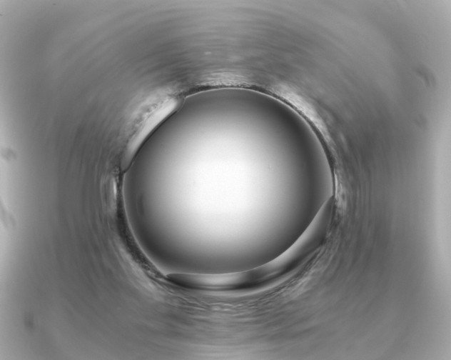 X0000091100109200708131113