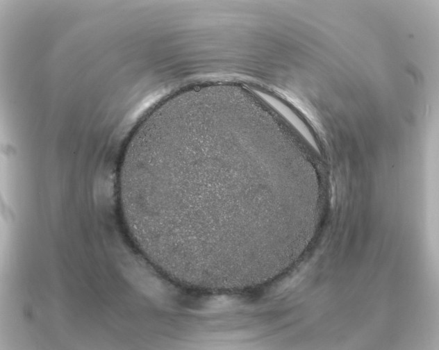 X0000091100111200708131113