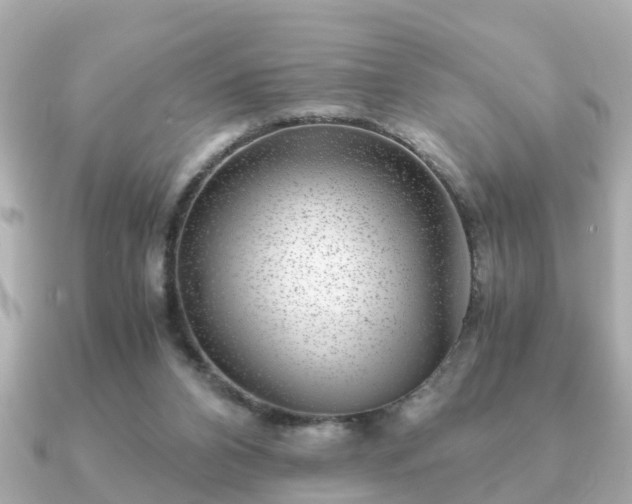 X0000091100112200708131113