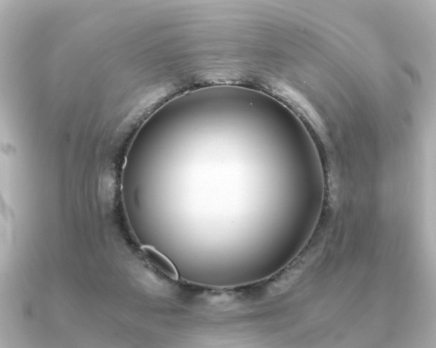 X0000091100113200708131113