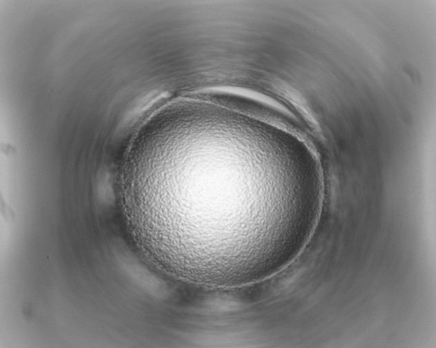 X0000091100114200708131113