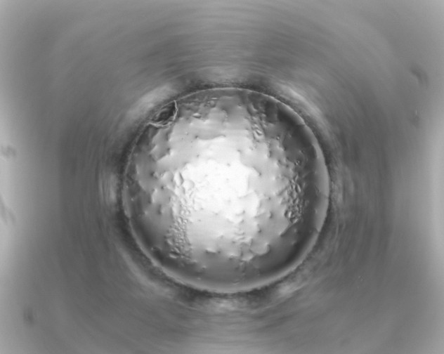 X0000091100115200708131113