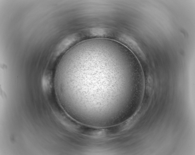 X0000091100116200708131113