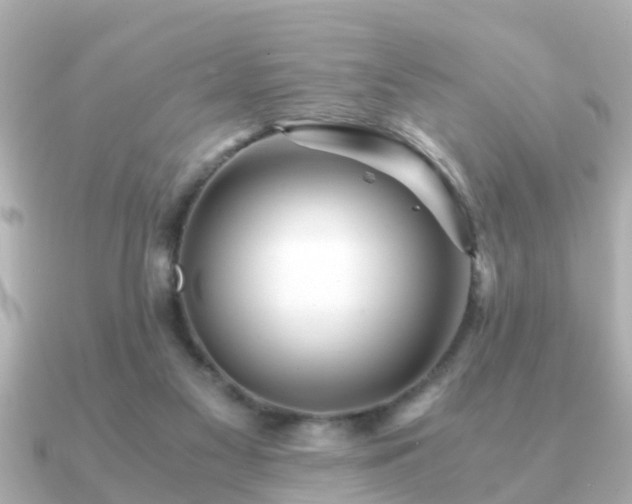 X0000091100117200708131113