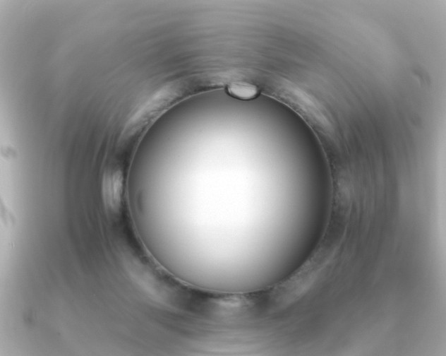 X0000091100118200708131113