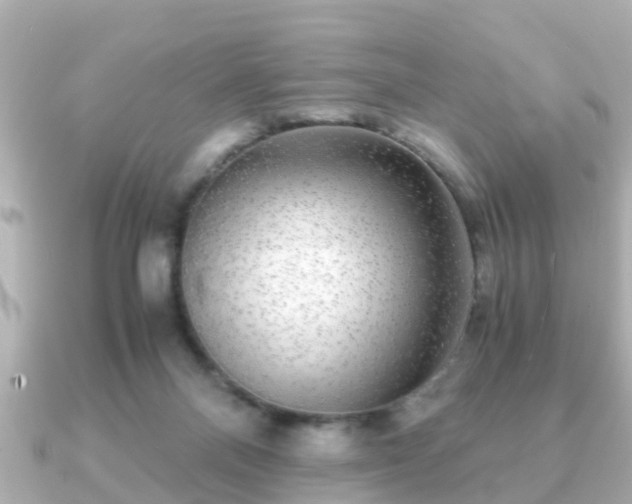 X0000091100120200708131113