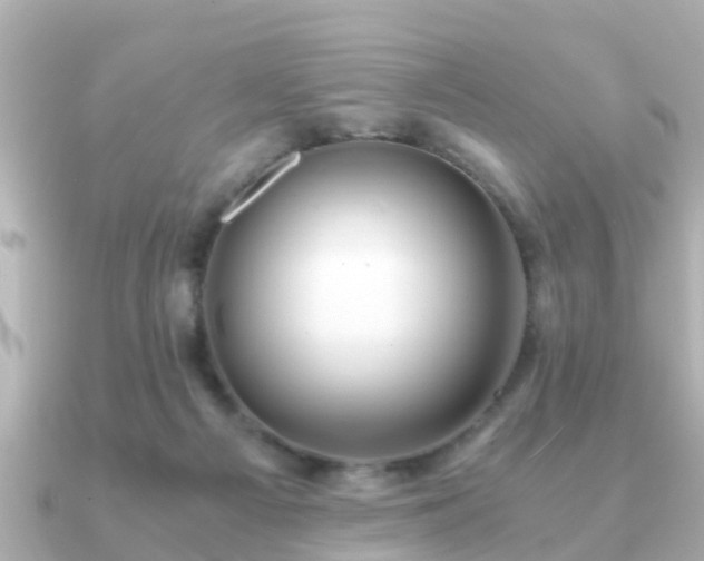 X0000091100121200708131113