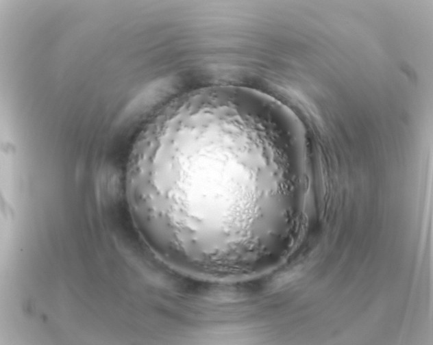 X0000091100123200708131113