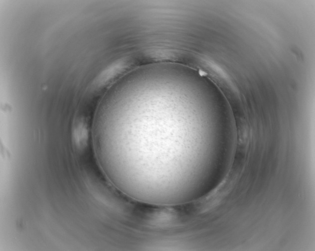 X0000091100124200708131113