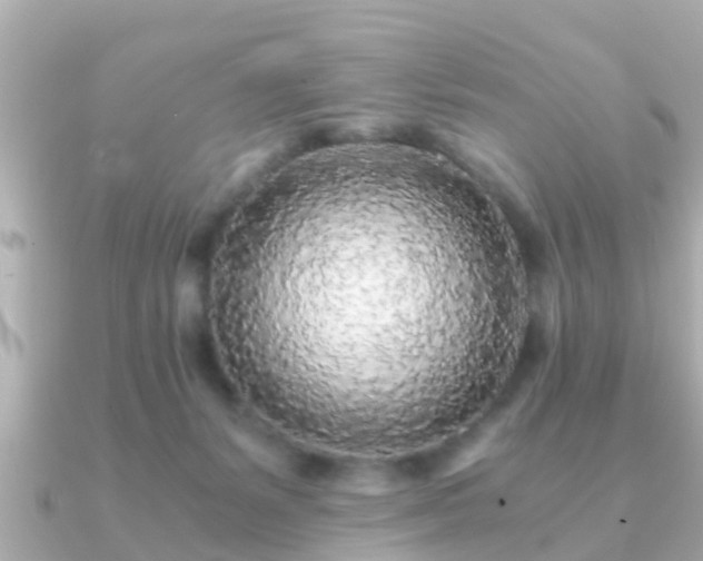 X0000091100127200708131113