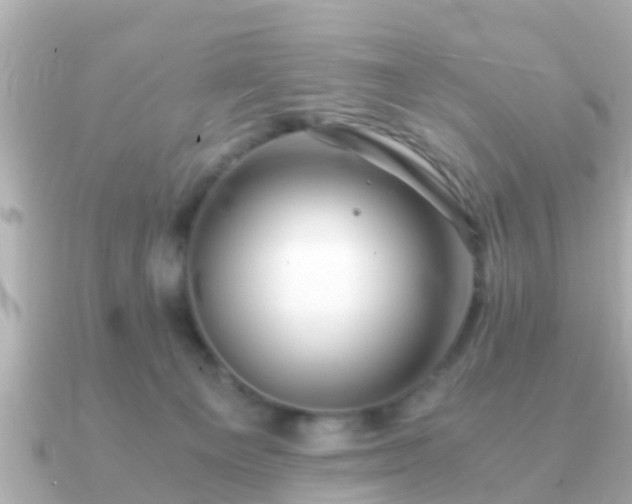 X0000091100129200708131113