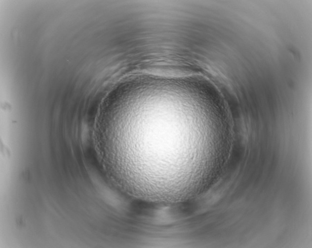 X0000091100130200708131113