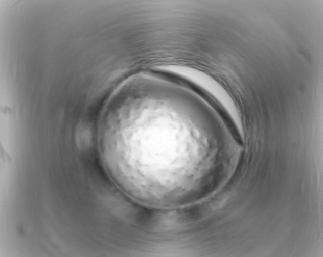 X0000091100131200708131113