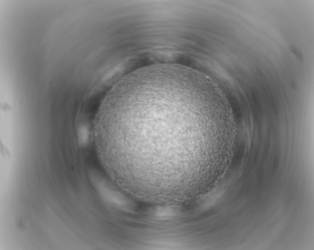 X0000091100134200708131113