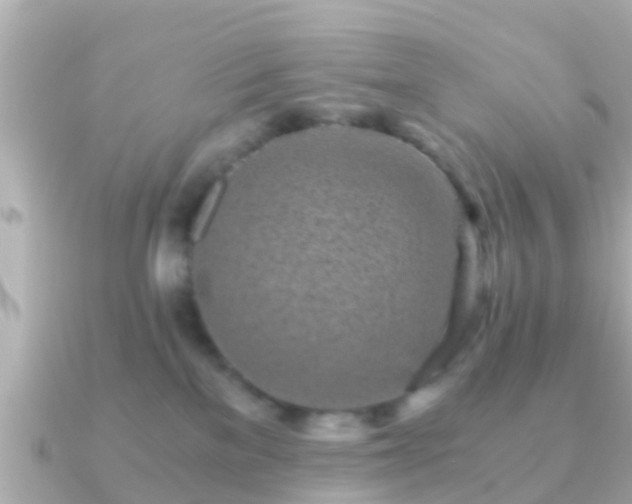 X0000091100137200708131113