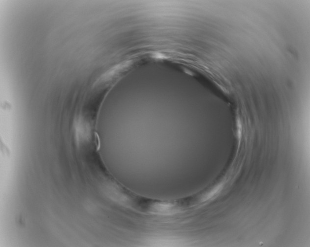 X0000091100139200708131113