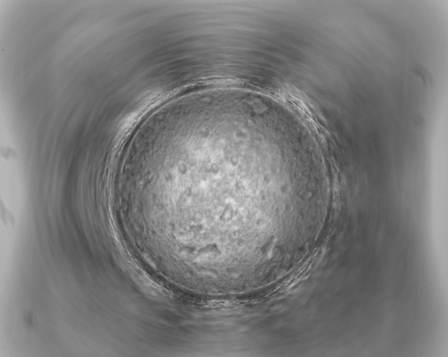 X0000091100145200708131112