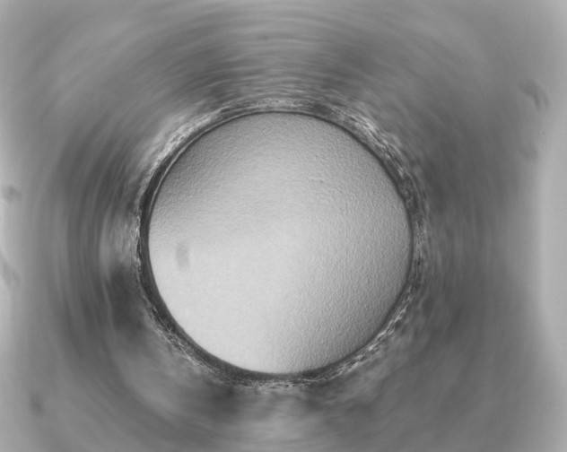 X0000091100146200708131112