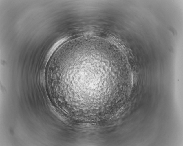 X0000091100147200708131112