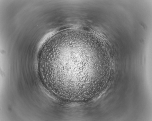 X0000091100149200708131112