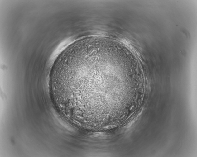 X0000091100151200708131112