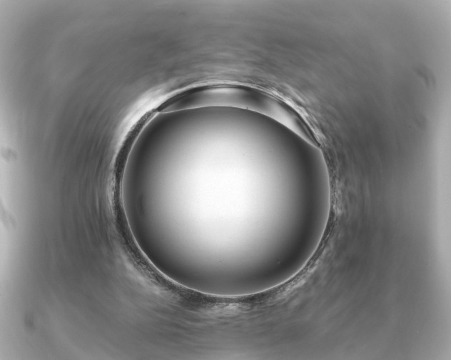 X0000091100152200708131112