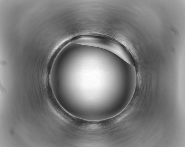 X0000091100156200708131112