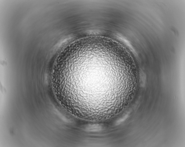 X0000091100161200708131112