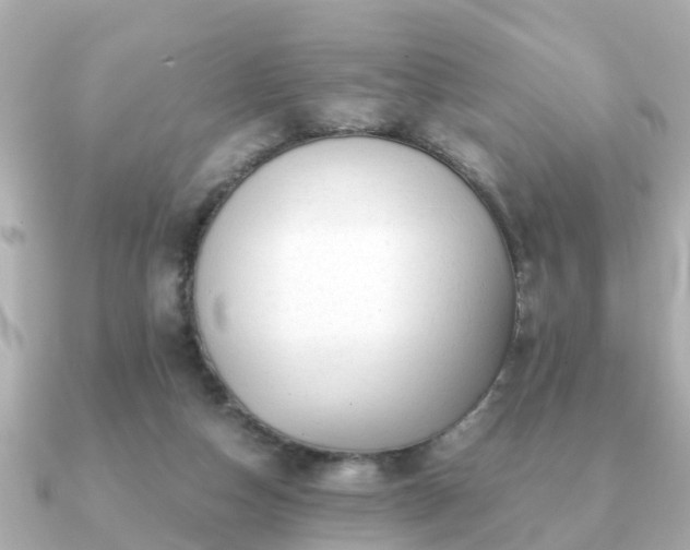 X0000091100162200708131112