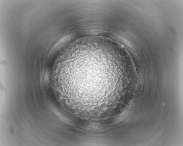 X0000091100166200708131112