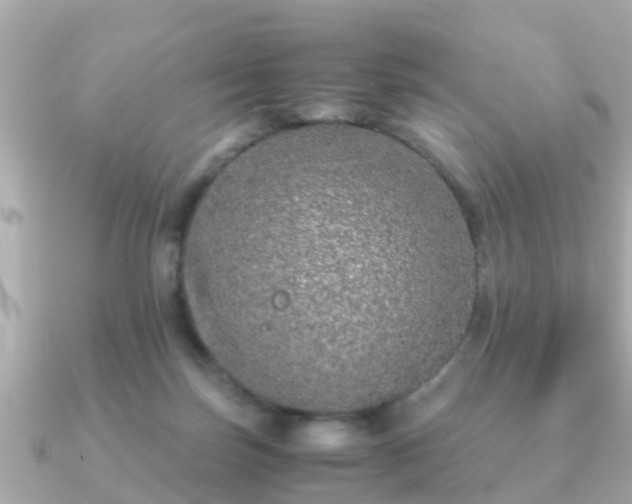 X0000091100171200708131112